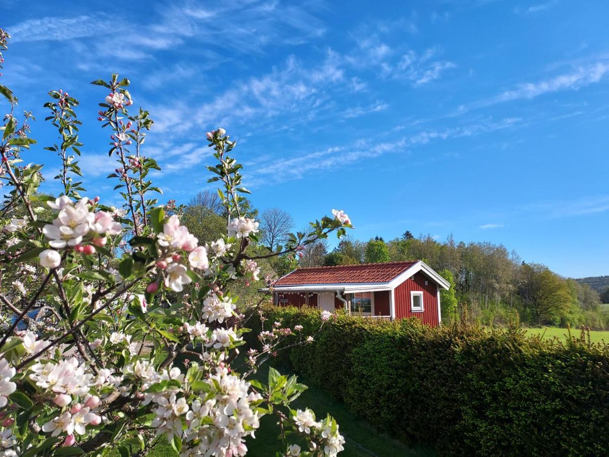 Aelgbergets Bed & Breakfast Ucklum Exterior foto